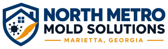 North Metro Mold Solutions